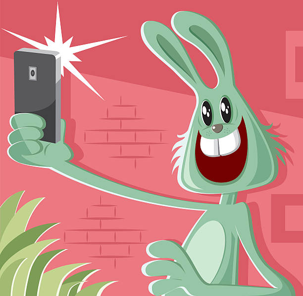 rabbit taking a selfie worked by adobe illustrator... camera flash photos stock illustrations