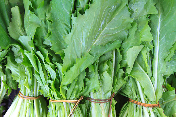 Bunches of fresh green chicory at a farmers' market. Each of the four bunches is wrapped in organic \