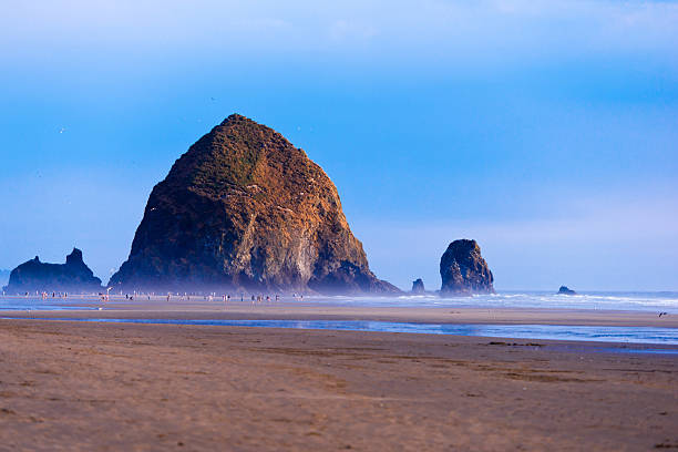 istock Powerful cliff on the Pacific coast favorite place for walking 492778074