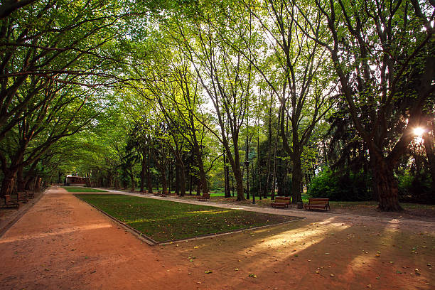 istock Urban green park with walking paths at sunset 492781420