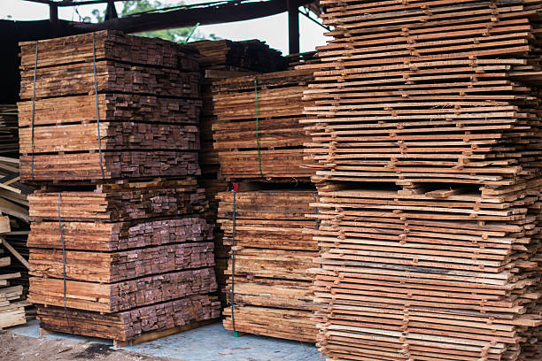 istock Piles of pine planks stacked for drying 492782272