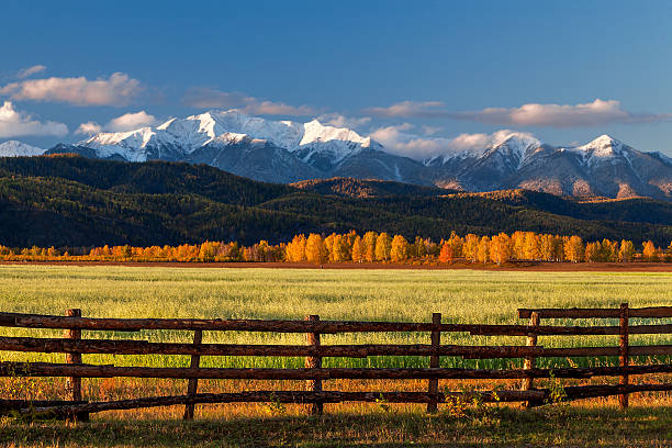 istock Green field against snow mountains at sunrise 492782316