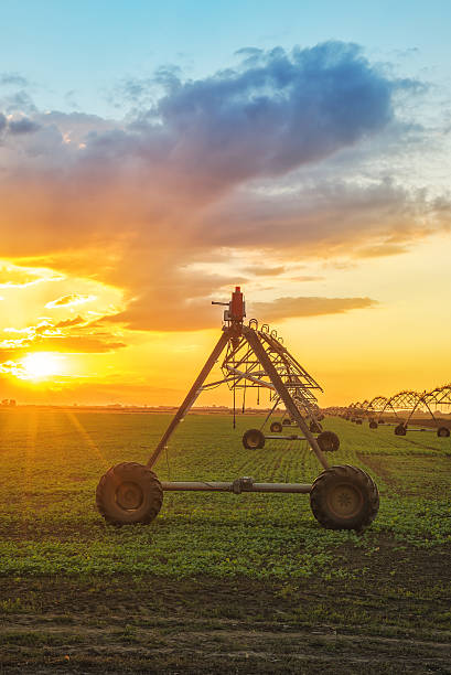 istock Automated farming irrigation system in sunset 492784052