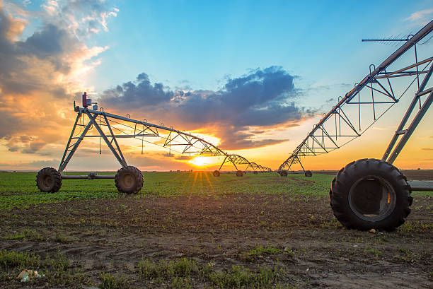 istock Automated farming irrigation system in sunset 492784090