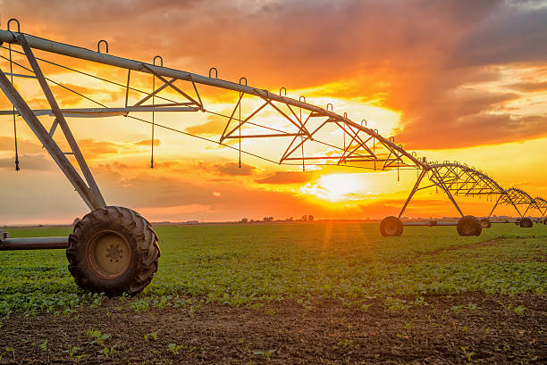 istock Automated farming irrigation system in sunset 492784198
