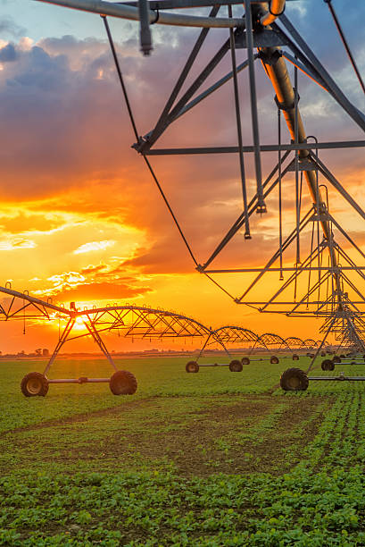 istock Automated farming irrigation system in sunset 492784268