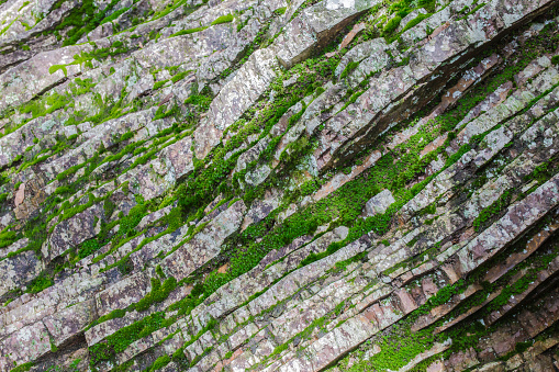 Unique surface of sedimentary rock wall covered with wet moss