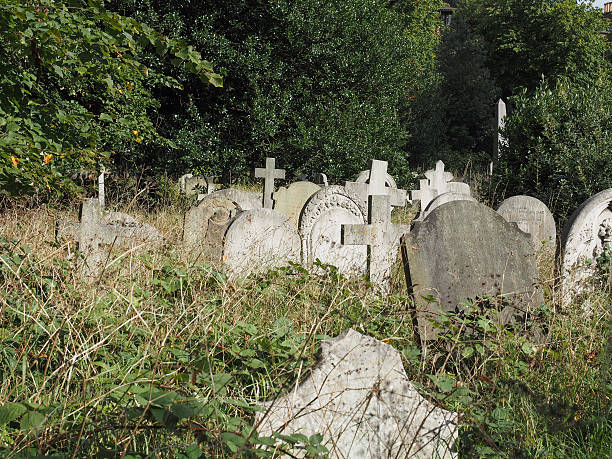 istock Tombs and crosses at goth cemetery 492786550