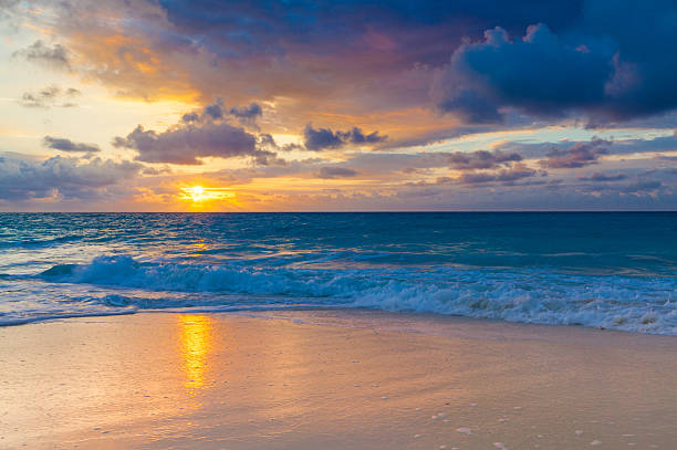istock Golden sunrise on a tropical island 492787390