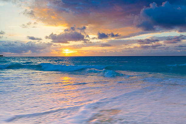 istock Golden sunrise on a tropical island 492788874