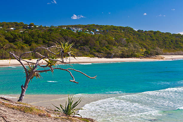 istock Cylinder Beach, North Stradbroke Island. QLD Australia 492789392