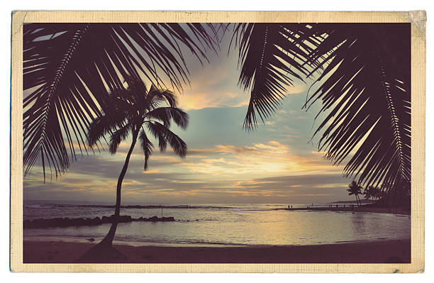 retro alte alte postkarte der ein paradies am strand von kauai, hawaii - surfen fotos stock-fotos und bilder