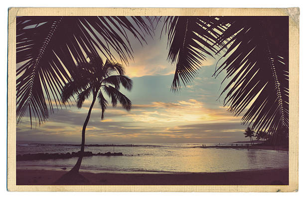 Retro Old Antique Postcard of the Beach Paradise of Kauai Hawaii A Retro 40s-50s style antique postcard with a surfer on a tropical beach. kauai photos stock pictures, royalty-free photos & images