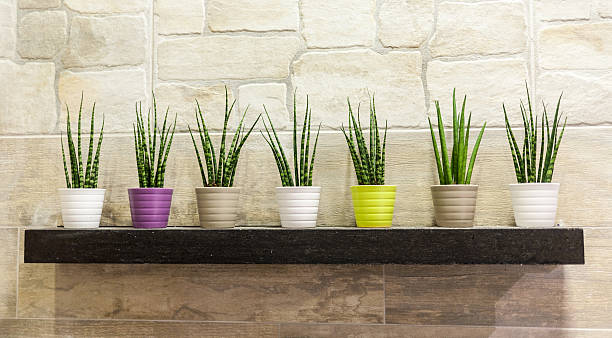 istock Gorgeous fresh flowers in the interior 492795657