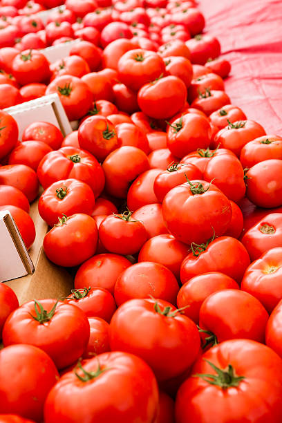 Farmers Market
