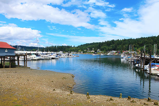 istock Tacoma. Pier view. WA 492796875