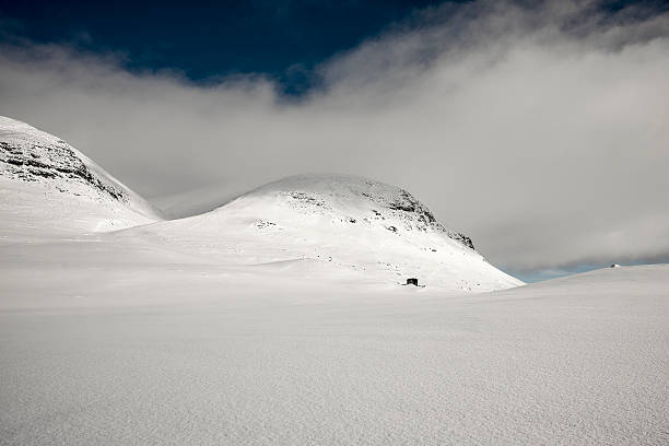 istock Snowy Winter Landscape 492796905