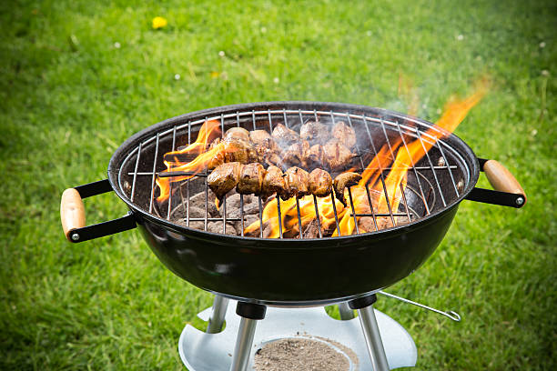 istock Grilled chicken Legs on the grill 492796971
