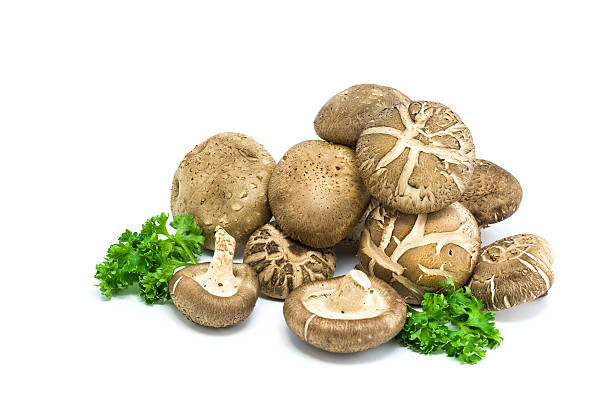 istock Shiitake mushrooms with Parsley  on white background 492797077