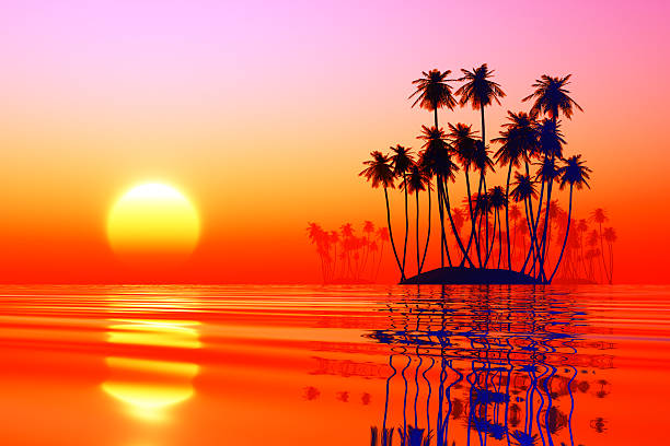istock coconut islands at pink sunset 492797303