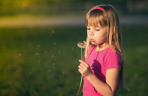 istock Little girl blowing a dandelion. 492797445