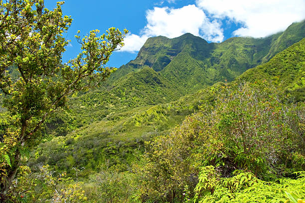 Iao Valley State Park on Maui Hawaii