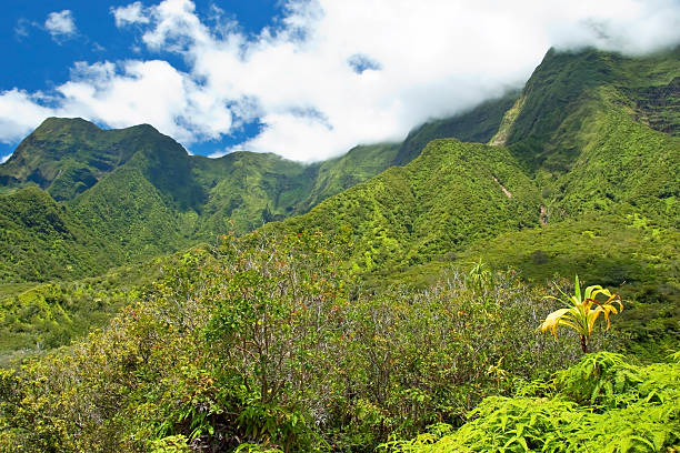parque estatal de iao valley em maui havaí - maui iao valley state park hawaii islands mountain imagens e fotografias de stock