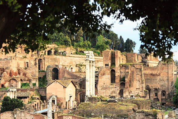 istock Roman Forum in Rome, Italy 492798681