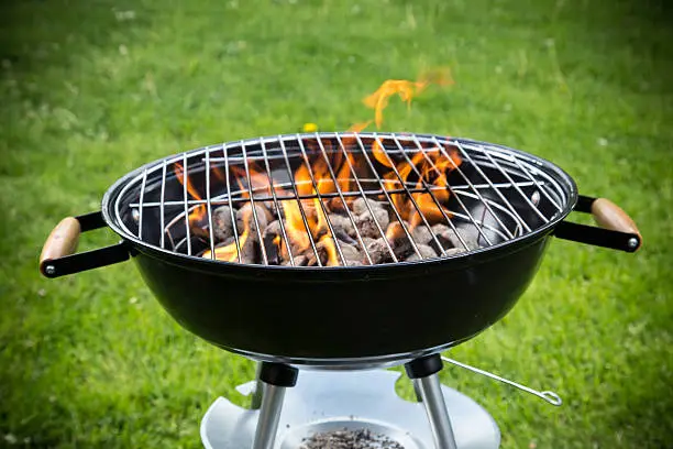 Photo of Grill on the garden
