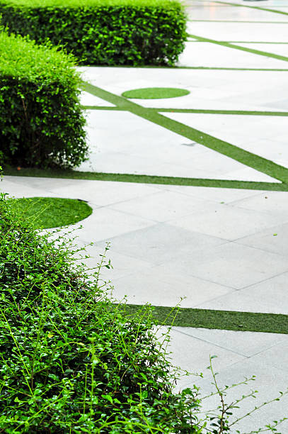 istock Ornamental shrubs, ground and buildings. 492800439