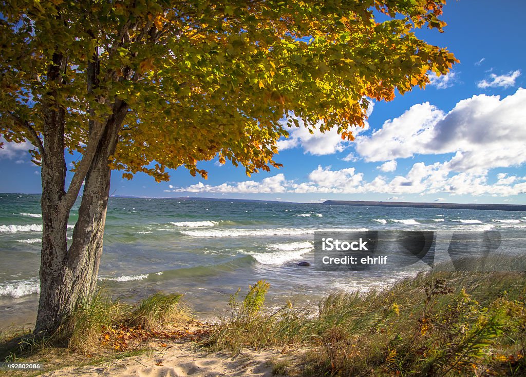 Autumn Color On Lake Superior Beach Autumn arrives to the wild and beautiful Lake Superior coast in Michigan's Upper Peninsula. Lake Superior is the largest of the Great Lakes and tourists flock to the Upper Peninsula to witness the beauty of the fall foliage. Munising, Michigan. Landscape - Scenery Stock Photo