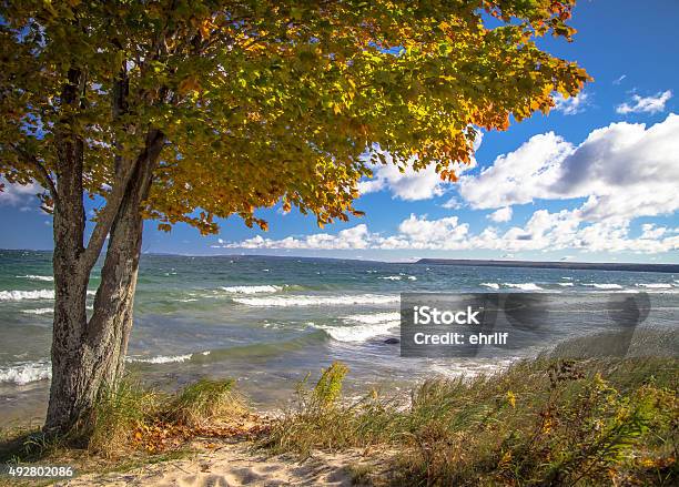 Autumn Color On Lake Superior Beach Stock Photo - Download Image Now - Landscape - Scenery, Michigan, Scenics - Nature