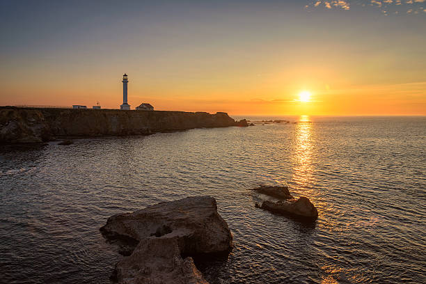 istock Point Arena Lighthouse at sunset in Pacific Ocean 492805196