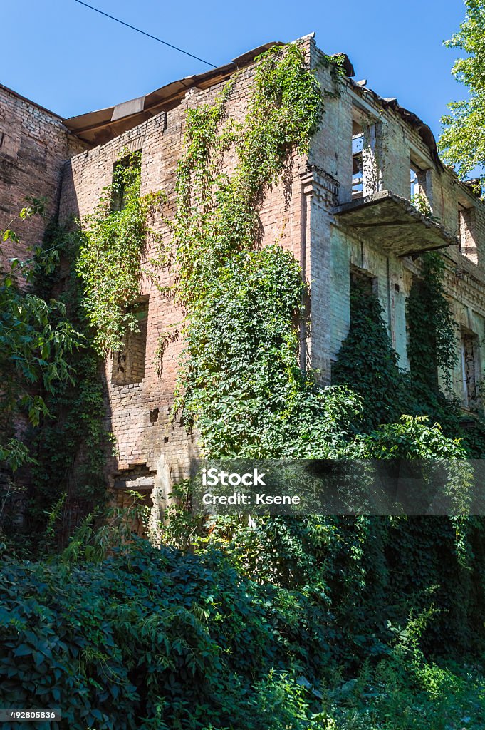 Old Abandoned Overgrown European Building Old Abandoned European Building without windows. Overgrown with wild grapes. Sunny summer day. 2015 Stock Photo