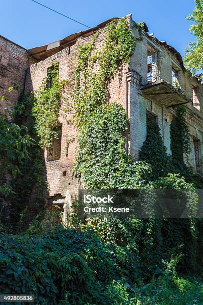 Old Abandoned Overgrown European Building Stock Photo - Download Image Now - 2015, Abandoned, Absence