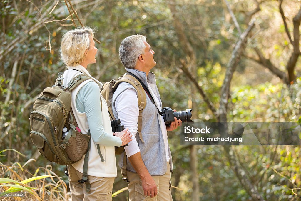 Medio invecchiato coppia di uccelli nella foresta - Foto stock royalty-free di Osservare gli uccelli