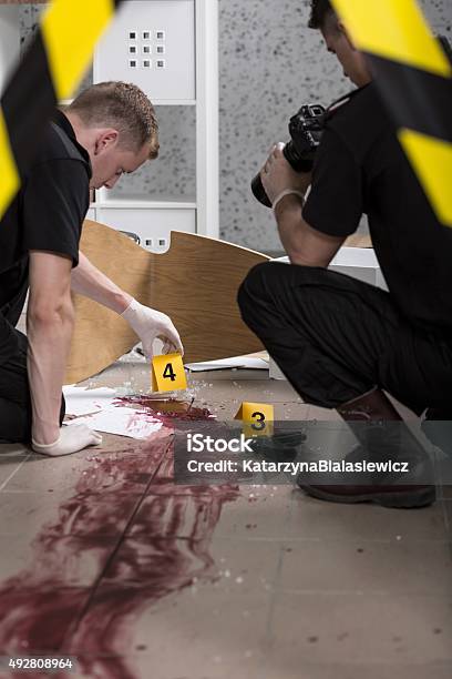 Crime Scene Investigation Stock Photo - Download Image Now - 2015, Adult, Blood