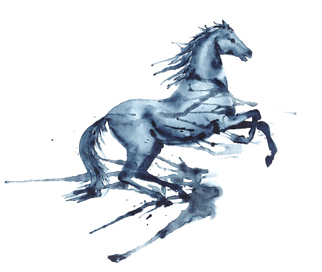 Wet watercolor rearing up horse with ink blots and stains on white. Hand drawing illustration of beautiful black stallion in motion.