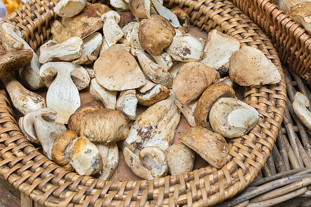 istock Basket of wild mushrooms cut and prepared 492810832