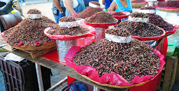 istock Chapulines, mexican food 492811816
