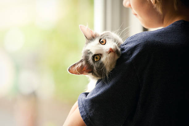 giovane ragazzo che tiene il suo bel gattino - hair care immagine foto e immagini stock