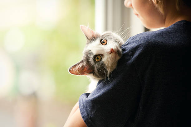 Young Boy Holding His Kitten stock photo