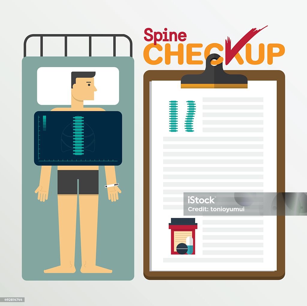Spine. Check Vector Spines Infochart In Flat Design Checkup Clipboard Stock Illustration ...
