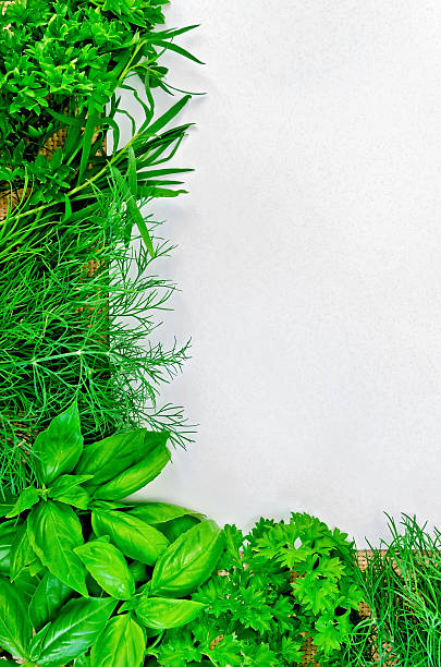 istock Frame of seasoning with paper on sackcloth 492816077
