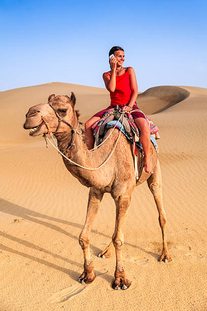 istock Young female tourist using mobile on a camel, Rajasthan, India 492817452