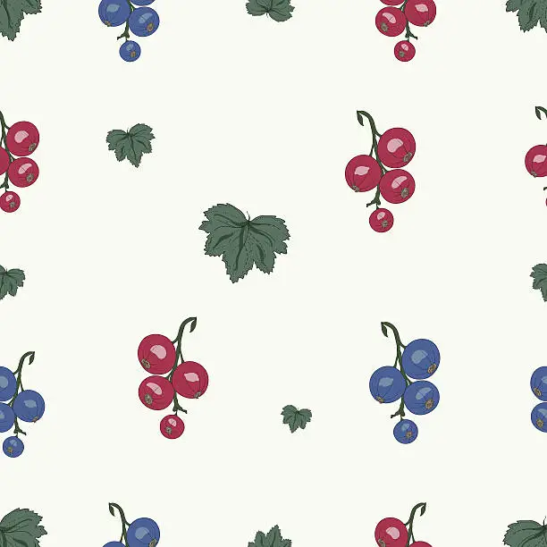 Vector illustration of currant seamless pattern