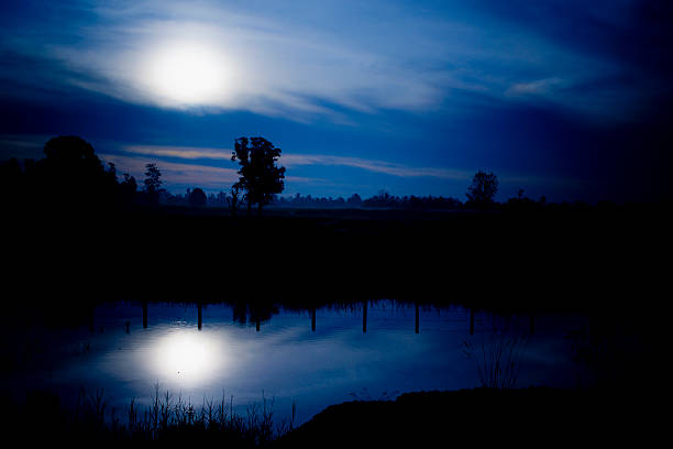 istock Silhouette of farmland 492819763
