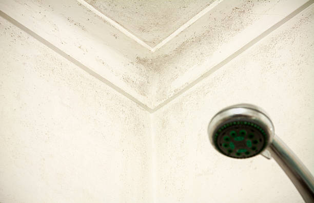 istock Moldy corner and wall in a shower room 492820335
