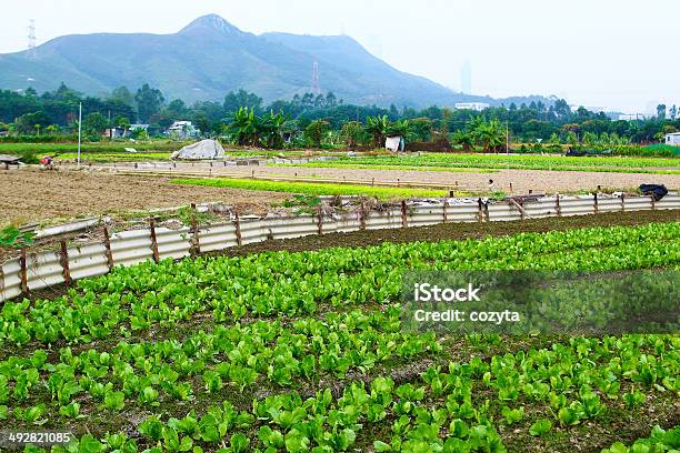 Foto de Terra Cultivada e mais fotos de stock de Agricultura - Agricultura, Ajardinado, Campo