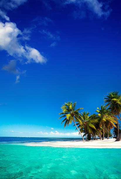 istock Art  beautifu seaside view  background 492821477